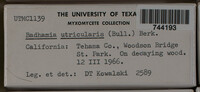 Image Associated With the Occurence